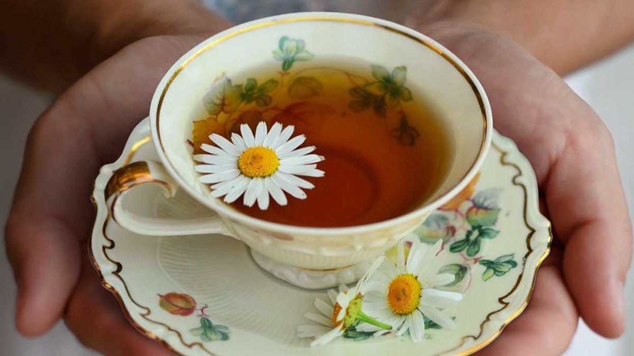 weight-control, green tea, anti-cancer benefits, antimicrobial, anti-inflammatory, antioxidant, cognitive decline