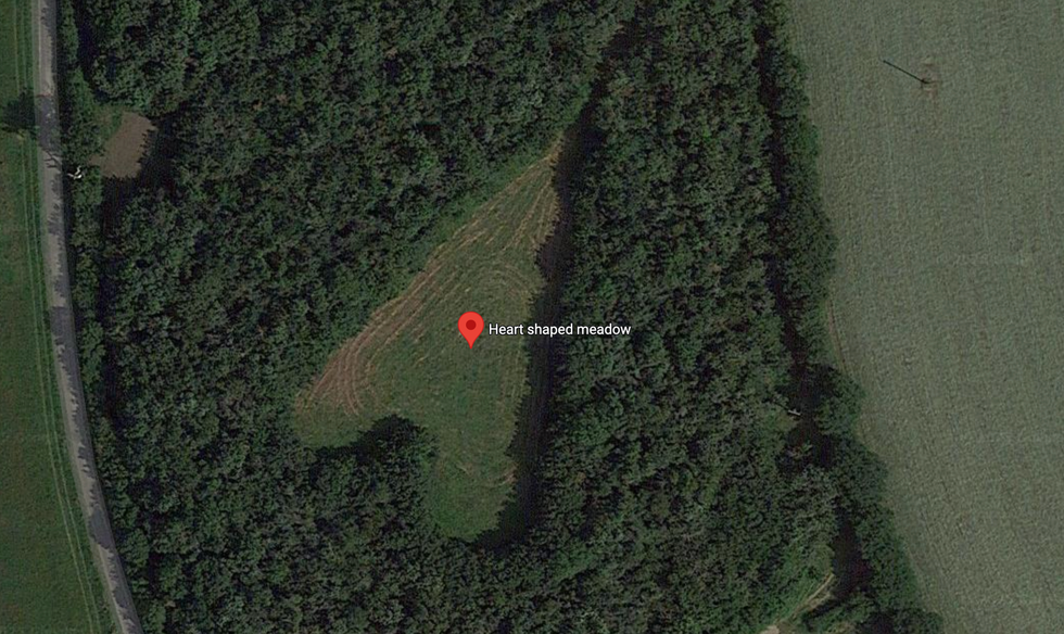 winston howes, heart shaped meadow, tree tribute, grief and love, viral photo, aerial heart tribute, janet howes, oak tree planting, hidden tribute, romantic gestures