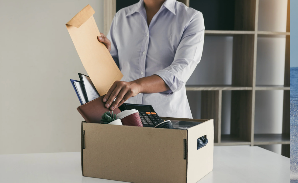 workplace revenge, layoffs, fired from job, reddit revenge story, professional boundaries, av setup, petty revenge, quitting story, boss regret, employee loyalty