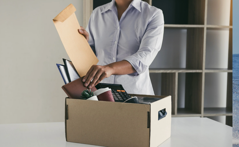 workplace revenge, layoffs, fired from job, reddit revenge story, professional boundaries, av setup, petty revenge, quitting story, boss regret, employee loyalty