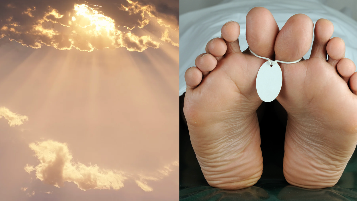 xenobots, third state, cellular consciousness, anthrobots, Alex Pozhitkov, Peter Noble, life after death, medical breakthroughs, biobots, evolution