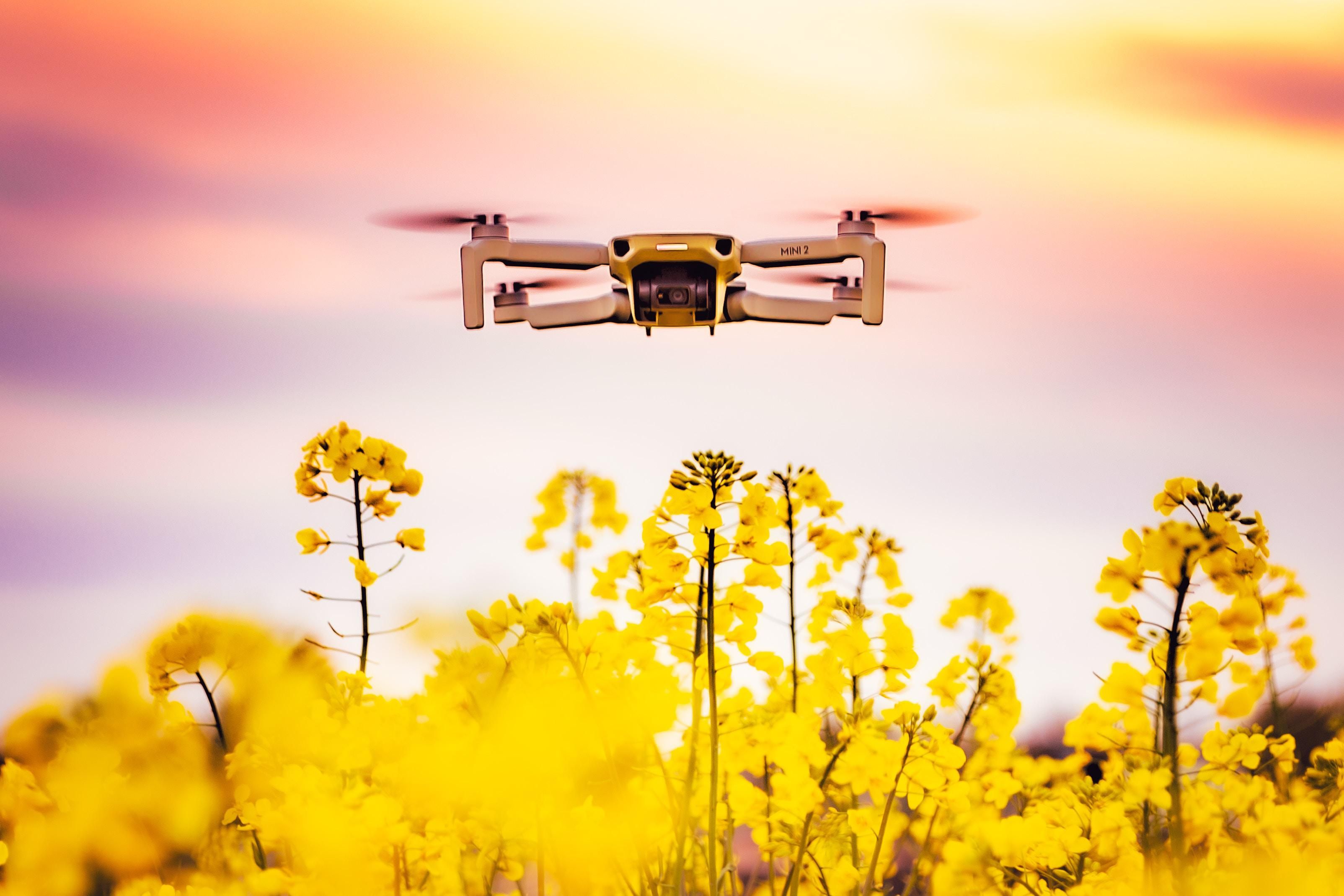 handikap afrikansk ødemark Bubble-dispensing drones aim to pollinate flowers - GOOD