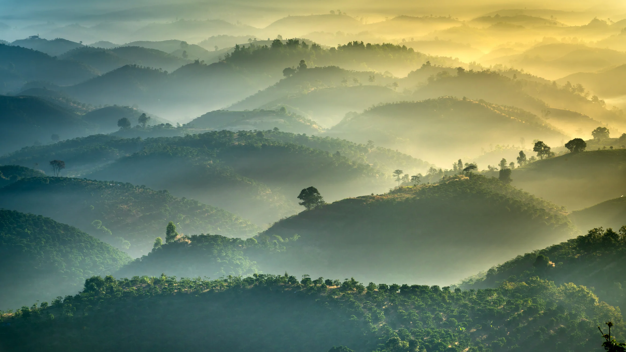 Zealandia, geology, lost continent, science, Earth science, history, exploration, Abel Tasman, oceanography, New Zealand