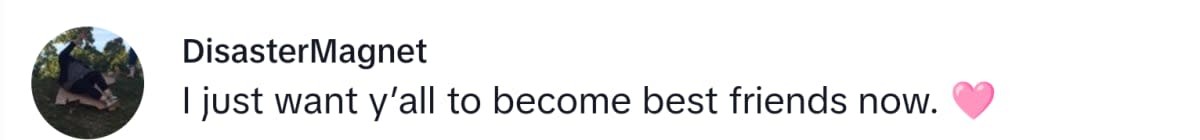 Image Source: TikTok | @DisasterMagnet