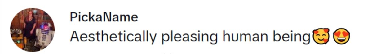 Image Source: TikTok | @DisasterMagnet