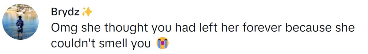 Image Source: TikTok | @birdie_145