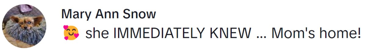 Image Source: TikTok | @maryannsnow5