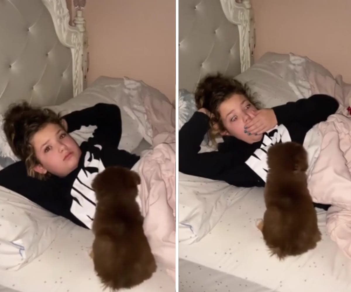 Image Source: Reddit | r/MadeMeSmile