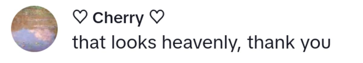 Image Source: TikTok | @Cherry