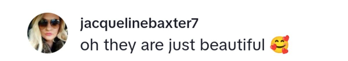 Image Source: TikTok | @jacquelinebaxter7