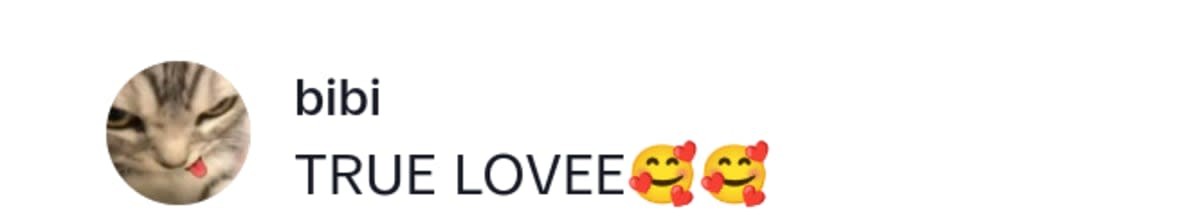 Image Source: TikTok | @bibi