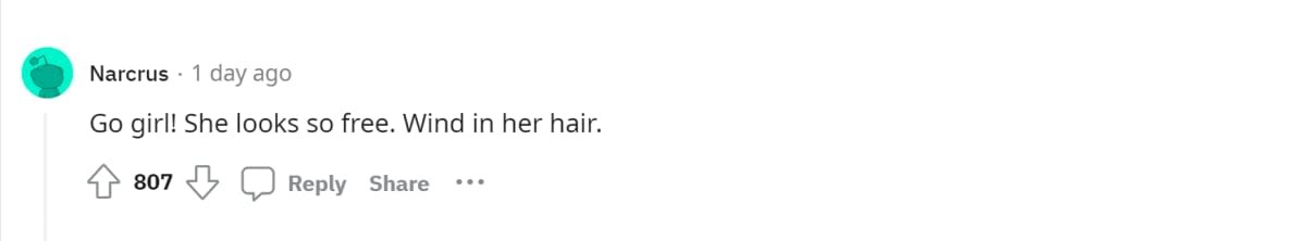 Image Courtesy - Reddit II u/narcrus