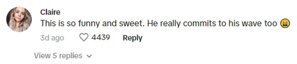 Image Source: Tiktok | bmblbb