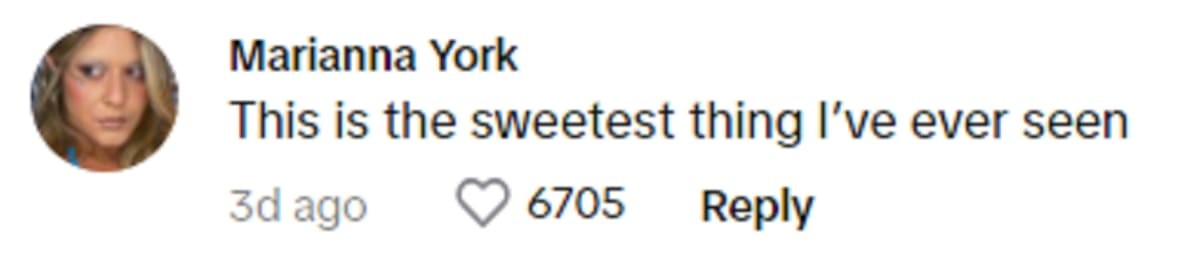 Image Source: Tiktok | mariannayork