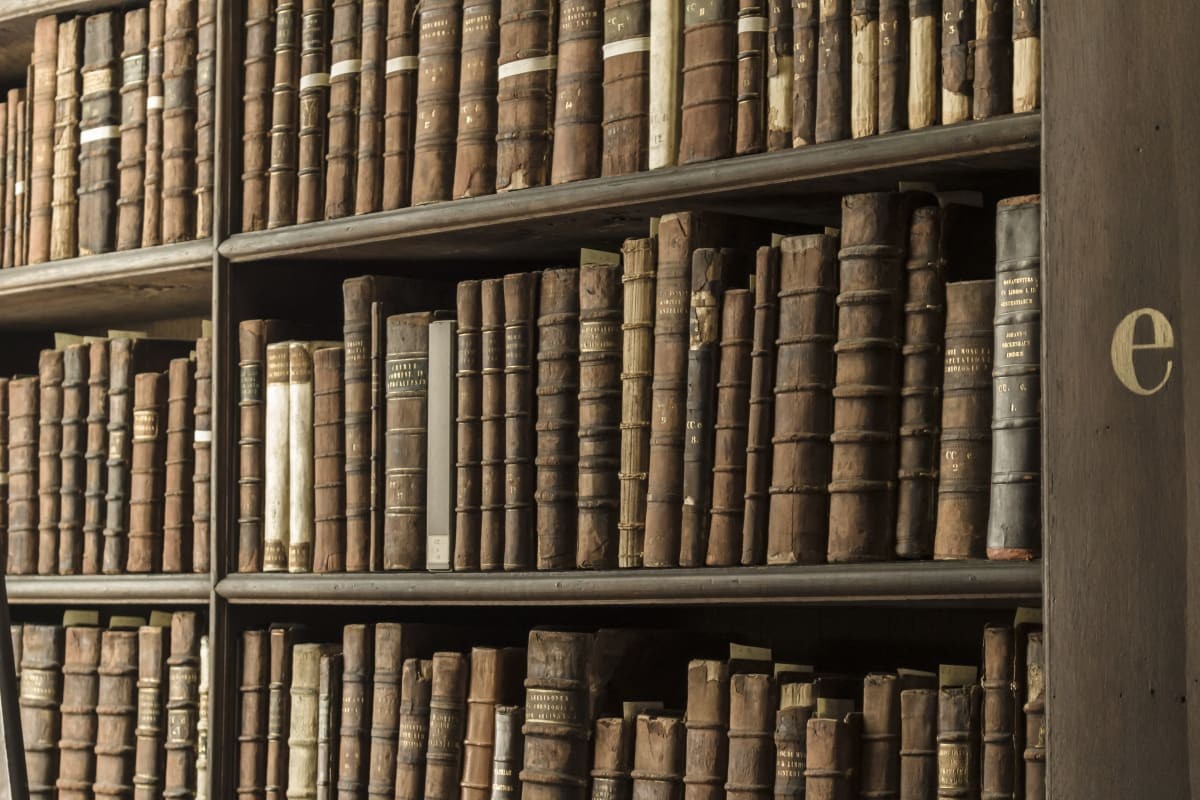 Image Source: A detail view of the book stacks in the Long Room of the Old Library at Trinity College on September 15, 2016 (Photo by David Madison/Getty Images)