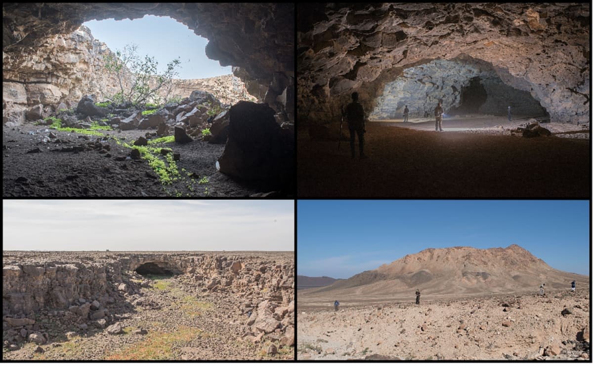 Image Source: PLOS Journal