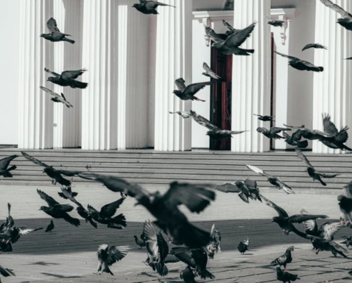 Image source: Pexels | Photo by Ion Ceban