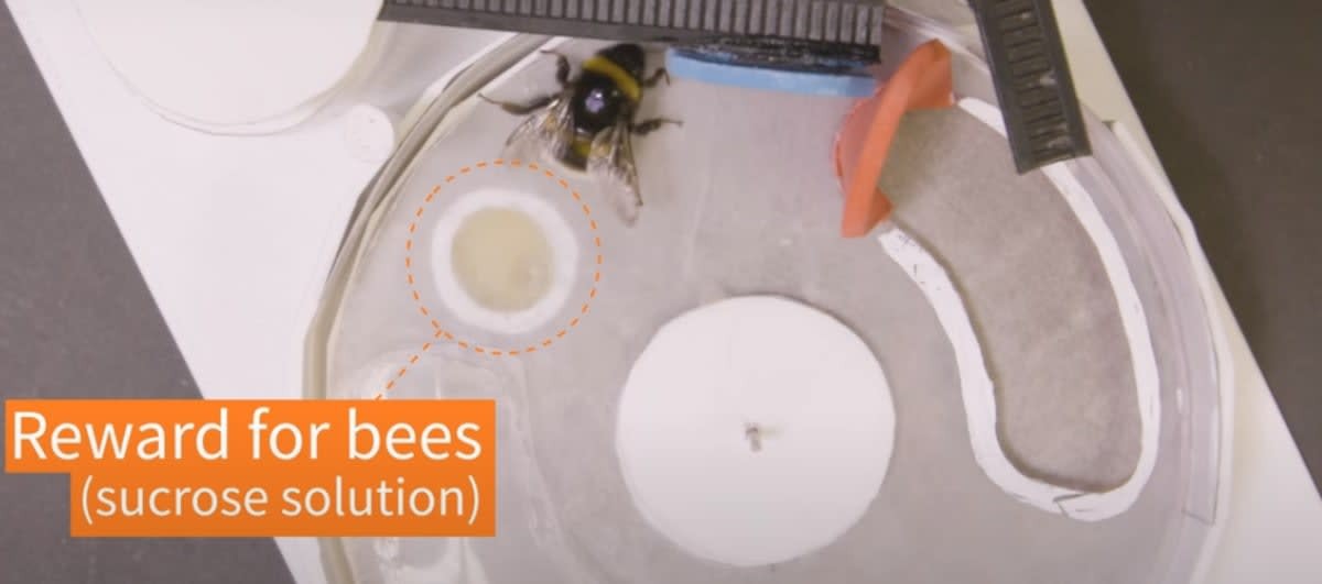 Image source: YouTube | NPG Press