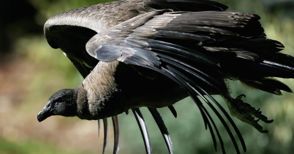 Representative Image Source :