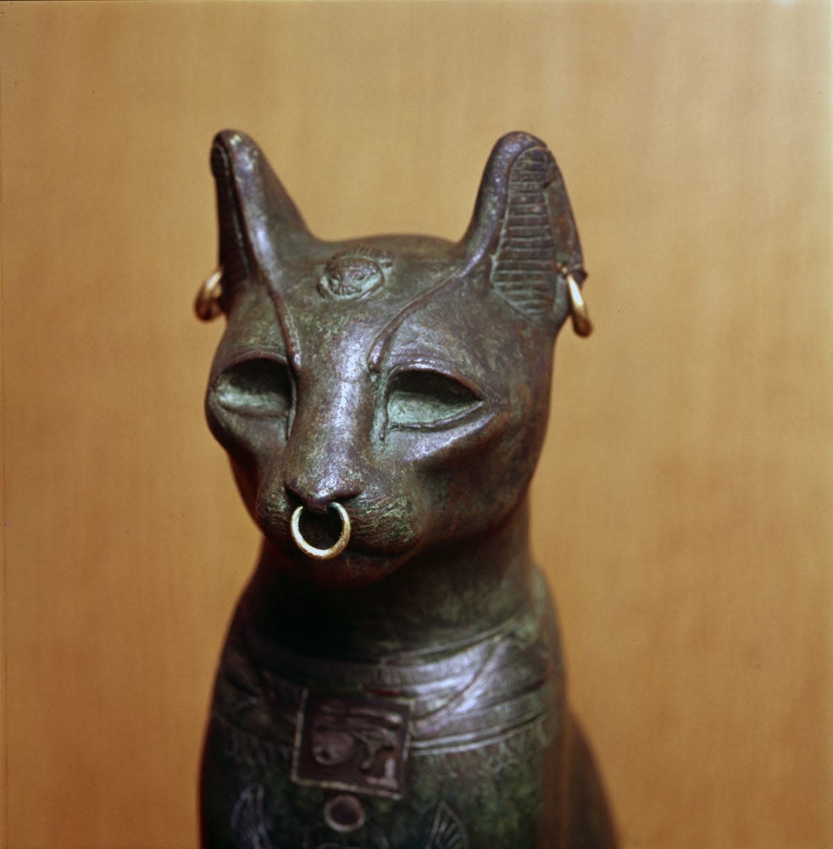 Representative Image Source: Getty Images | Photo by CM Dixon/Heritage Images/Getty Images