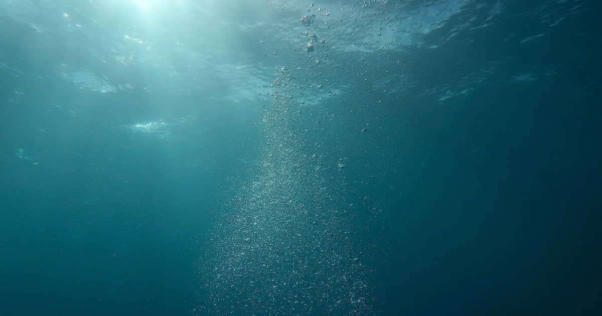 Representative Image Source : Pexels I Photo by  Berend de Kort