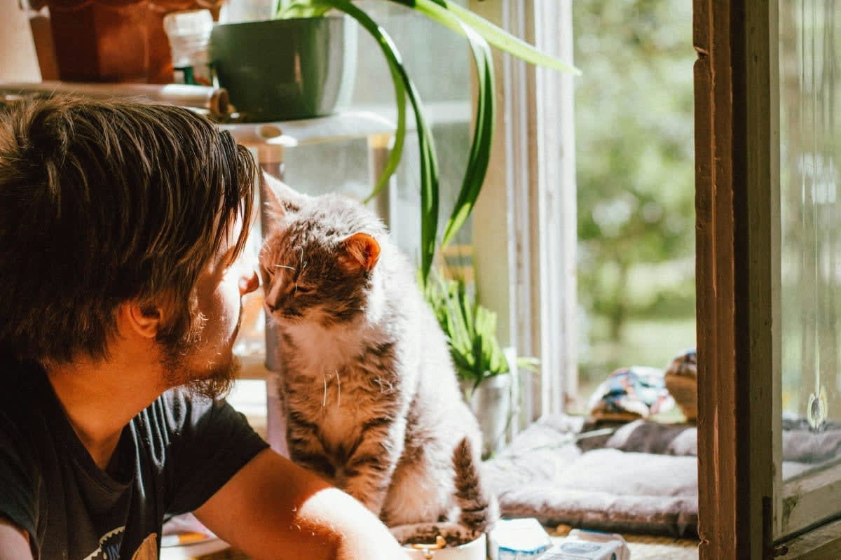 Representative Image Source: Pexels | yuliya kota
