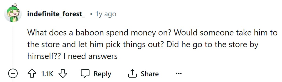 Image Source: Reddit | u/Indefinite_forest_