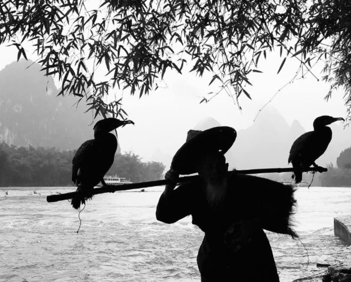 Image source: Pexels | Photo by Julie Aagaard