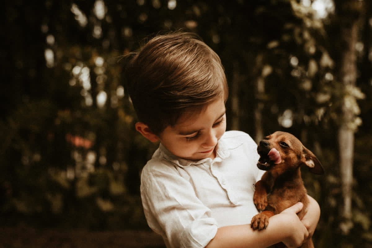 Representative Image Source: Pexels | bruna fossile