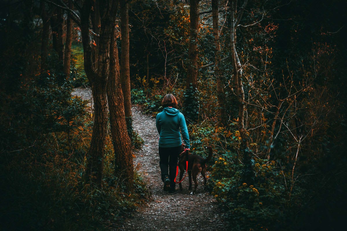 Representative Image Source: Pexels | fotios photos