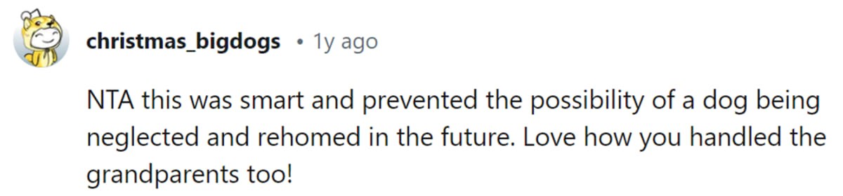 Image Source: Reddit | u/christmas_bigdogs