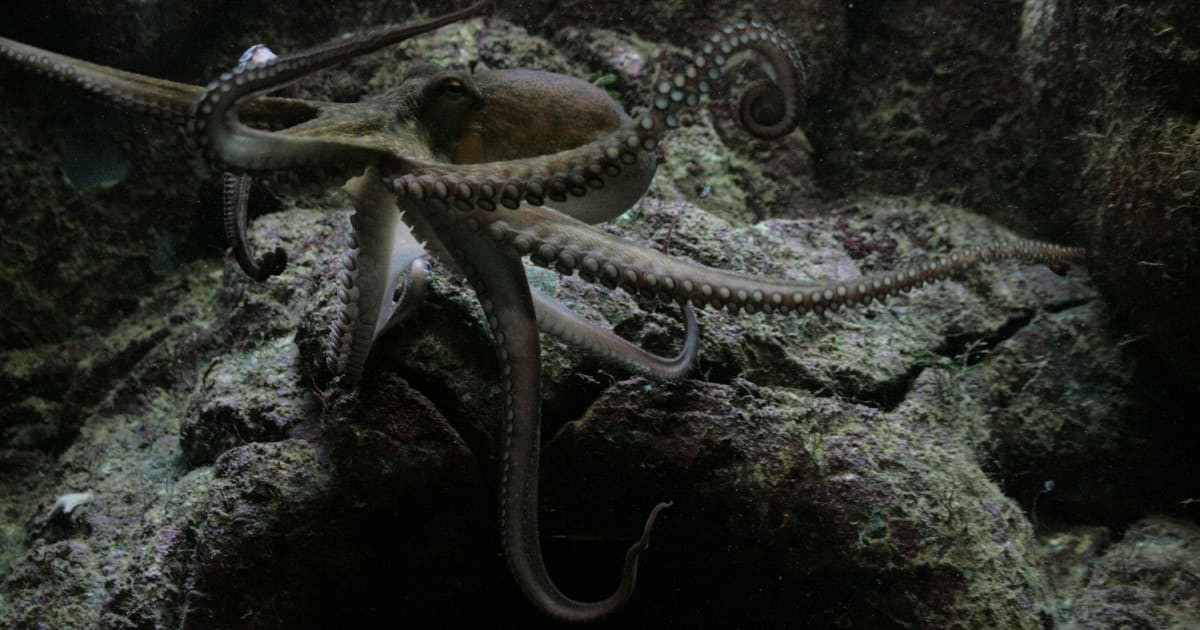 Representative Image Source: Pexels I Photo by Joachim Schnürle