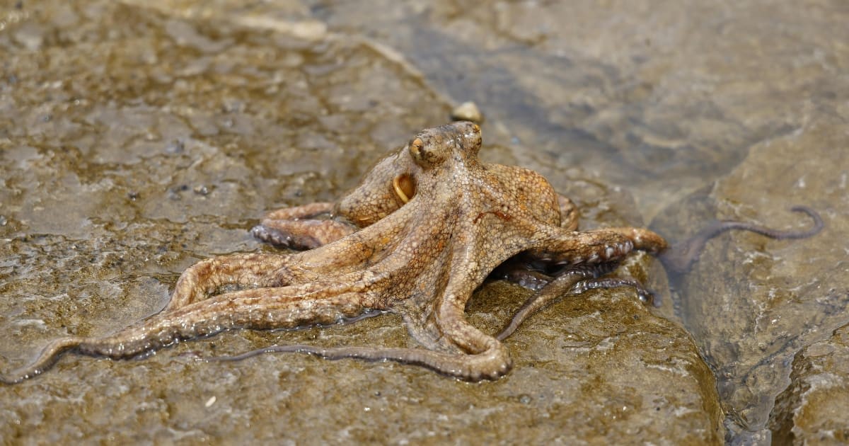 Representative  Image Source: Pexels I Photo by Christophe RASCLE