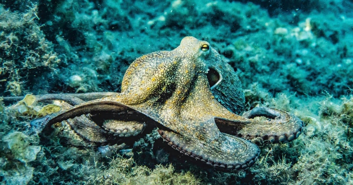 Representative Cover Image Source: Pexels I Photo by Pia B