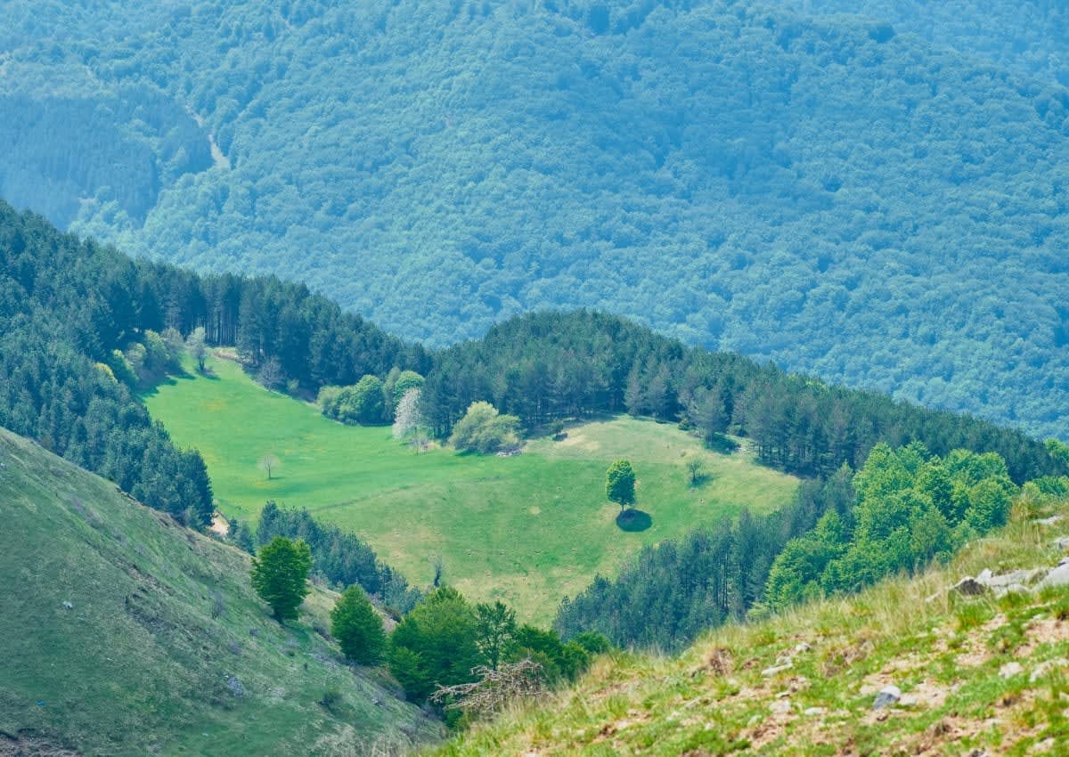Representative Image Source: Pexels | valter zhara