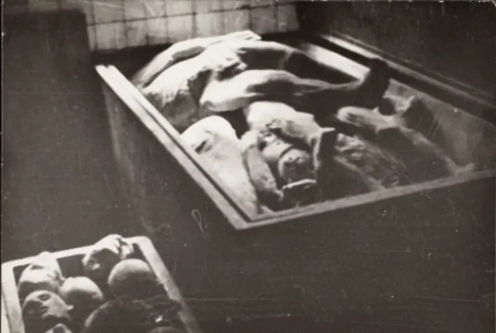 Corpses and body parts in the morgue.