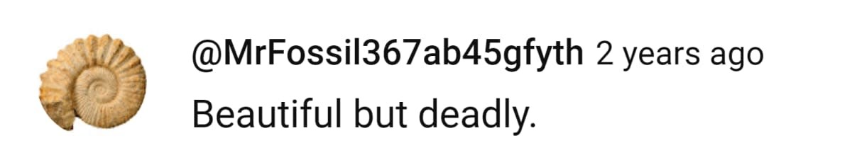 Image Source: Youtube I @@MrFossil367ab45gfyth