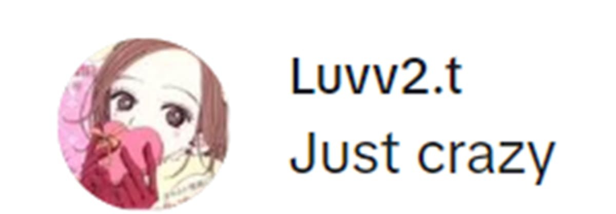 Image Source: TikTok | @luvv2.t