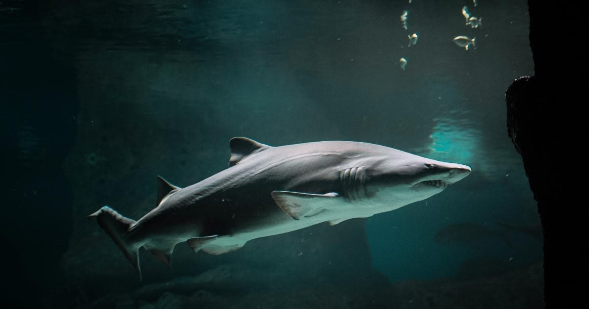 Representative Image Source: Pexels I Photo by  Vova Kras