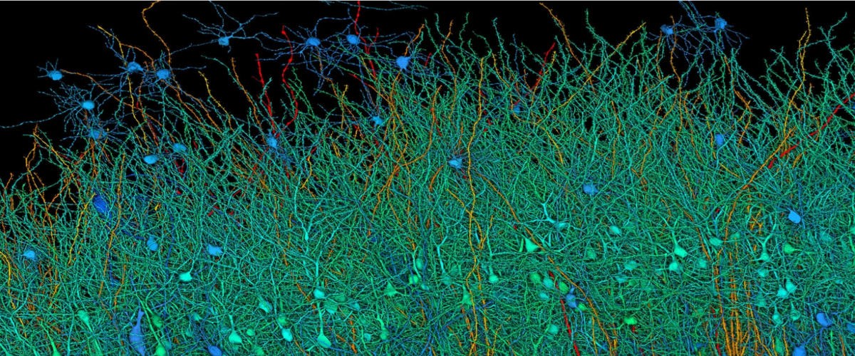 Image Source: Google Blog