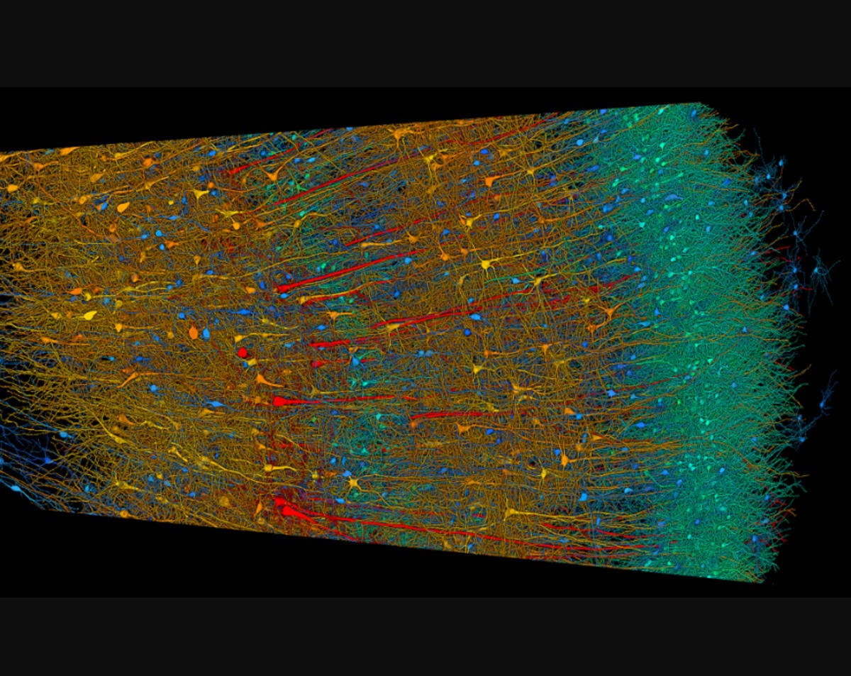 Image Source: Google Blog