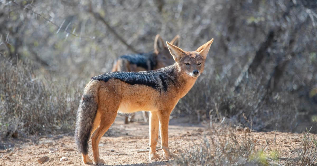 Representative Image Source: Pexels I Photo by  David Dibert