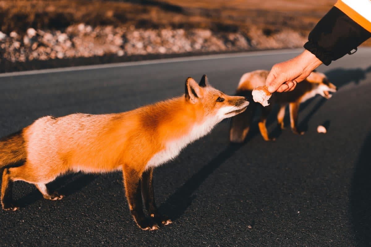 Representative Image Source: Pexels | Photo by Erik Mclean
