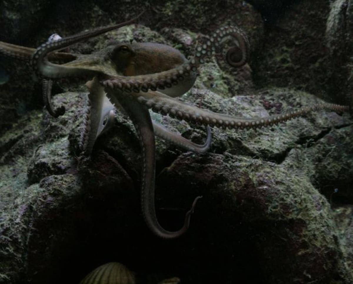 Representative Image Source: Pexels | Photo by Joachim Schnürle