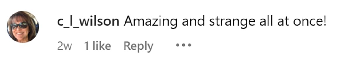 Image Source: Instagram | @c_l_wilson