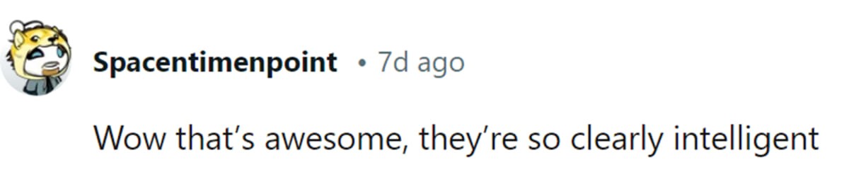 Image Source: Reddit | u/spacentimenpoint