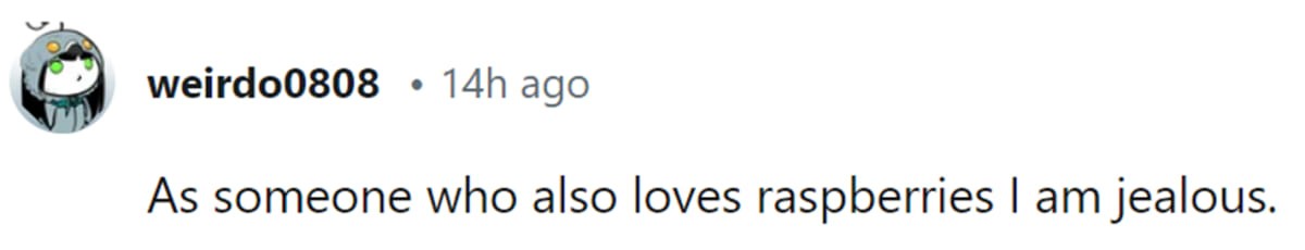 Image Source: Reddit | u/weirdo0808