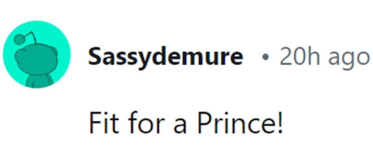 Image Source: Reddit | u/sassydemure