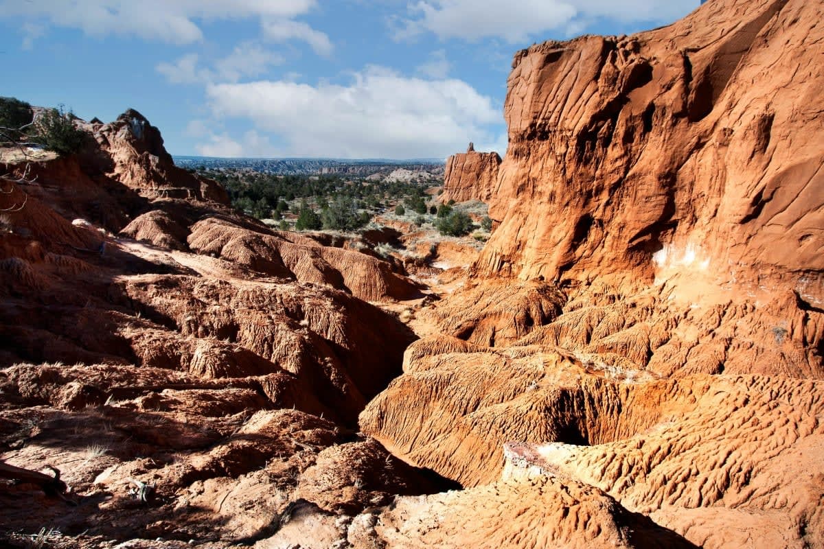 Representative Image Source: Pexels | James Wilson