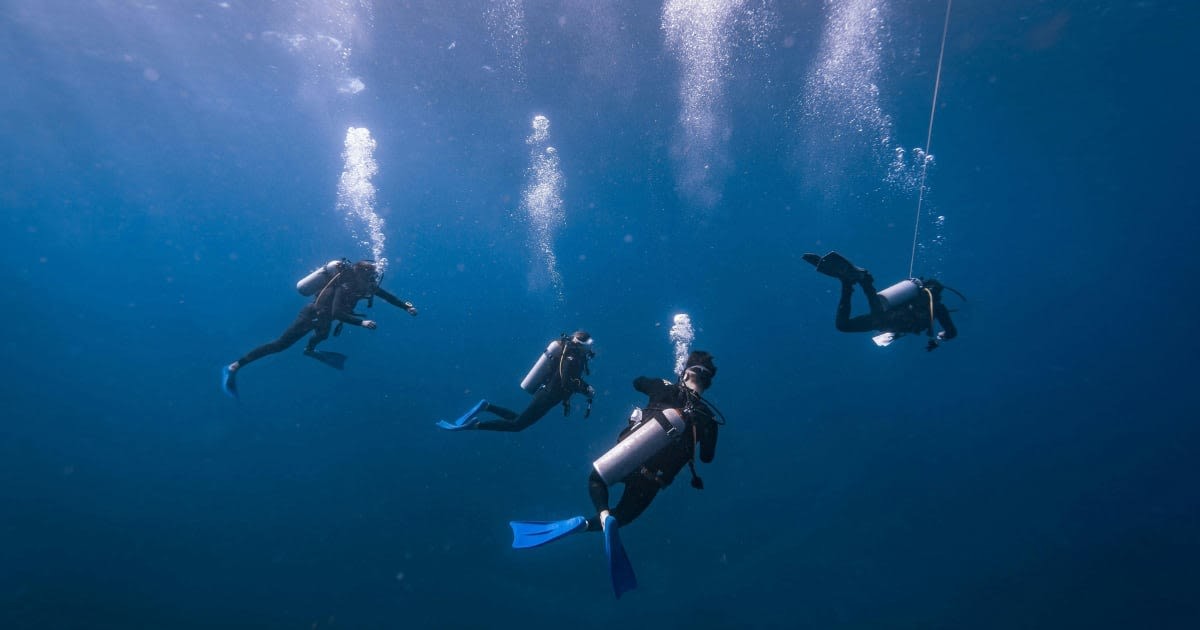 Representative Image Source: Pexels I Photo by Harvey Clements